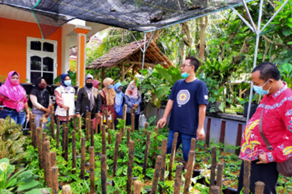 Pelatihan Budidaya Tanaman Hias